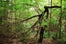 frei-designs-10