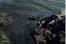vogue-italia-water-oil-spill-5
