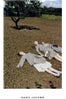 marc-jacobs-juergen-teller-ad-campaign