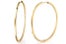 Elliptical Hinge Earring