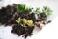 diy gardening project