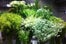 green-flowers