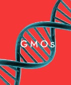 GMO_Opener