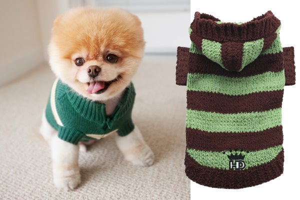 boo dog fashion