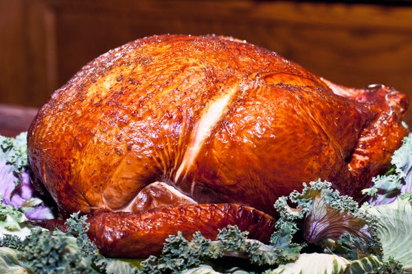 01_Frontier_Turkey To Go 1