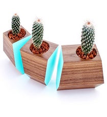 boxcarsucculentplanters_revolutionDHetsy_42