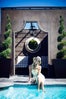 13-annabelle-wallis-my-style