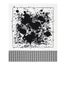 Hermes X Commes des Garcons "Checal Surprise"