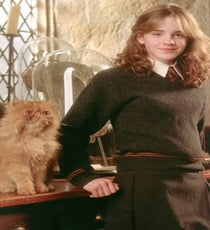 Hermione loves her cat, even though it is certifiably insane. Katniss only comes around to her feline after it has been horribly bombed and starved.
Photo: Courtesy of Warner Bros.
hermione