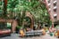 Tequila_Park_Credit_Morgans-Hotel-Group(2)