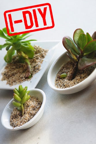 diy gardening project