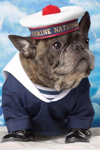 nars-marcel-dog-2