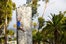 30_rockclimbing_054-M