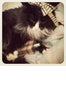 richcat4 -edited