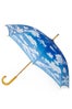 umbrella8