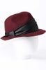 ann-taylor-fedora