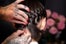 hairstyles for in between lengths