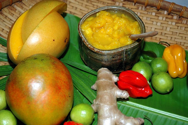 Salsa_Courtesy of Fairchild Tropical Gardens