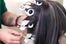 gray-hair-color-tips-7
