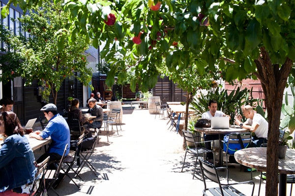 san francisco al fresco