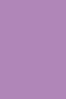 african-violet