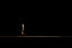 35_EdunFW2012_A.Alpaugh_021312_14