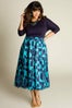 fashplus-4