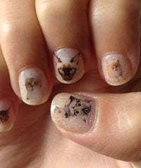 Recipe For Internet Success: Cat Nail Art catsOP