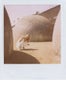 tumblr_mlry6sRTxe1rdn31oo2_r1_500