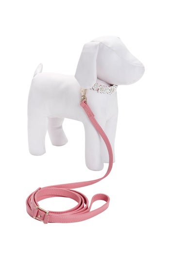 oscar_de_la_renta_leash