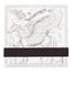 Hermes X Commes des Garcons "Le P+gase d'herm"