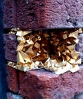 geode-street-art-opener