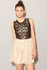 Pixie-Market-Organza-Lace-Dress,-$84