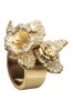 Ladies_26