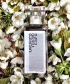10 British Perfume Labels Changing The Scent Game opener