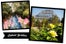 dc_touristy_slides_02