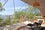 Ecopod3