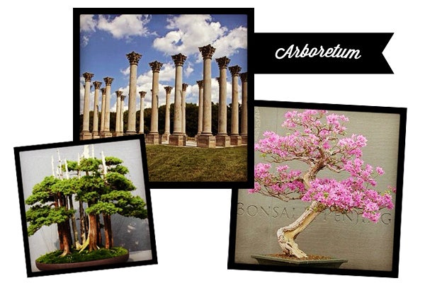 dc_touristy_slides_01