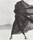 Herb-Ritts-Opener