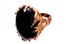 branch_ring