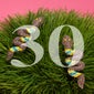 Opener_30