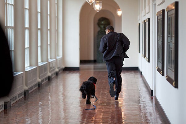 Happy B-Day, Mr. President! From Your Adorable BFF, Bo Obama