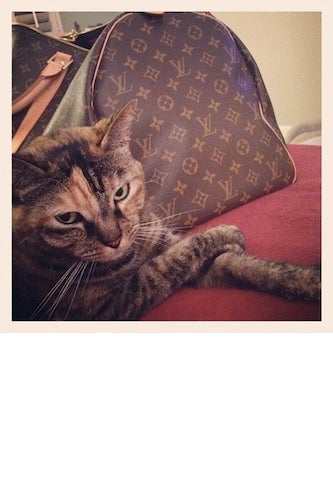 richcats1 - edited