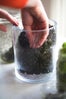 diy gardening project