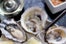 oysters2_fb_full