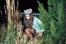 chloe_sevigny_04