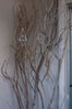 35__DSC0457-copy
