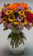9-Gaffney_4FocalFlowers