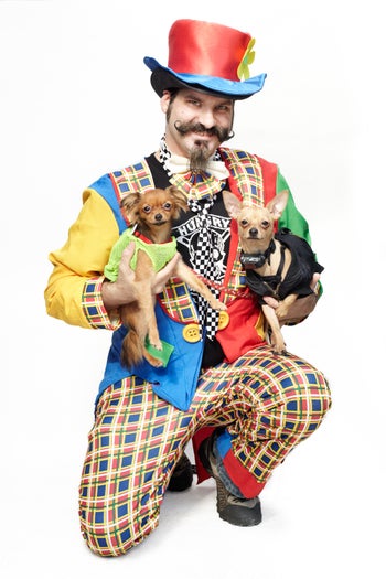 42_Zed&Bebop_Chihuahua_605