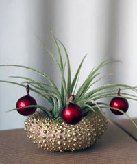 16 Oh-So-Festive Decor Finds That'll Add Some Spirit To Your Space opener